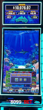 Programa VIP 8099 bet